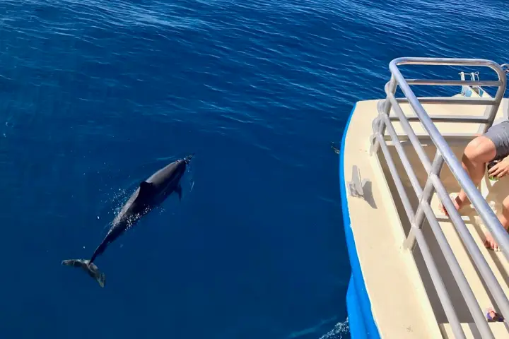 a close up of a boat next to a body of water